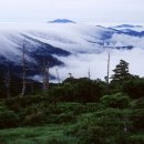 버그산악회 제83회 정기산행 경남.전남.전북 지리산 천왕봉 (1.915m) 이미지