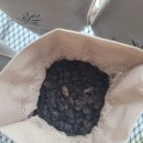 집안 화장실 악취 하수구 냄새 습기 제거 천연 공기 탈취제 탄화코르크 후기