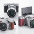 블러썸 PC 이미지