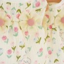 강아지봄 이미지