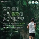 네이처스템