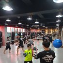 강성복싱체육관 이미지