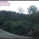 포항시남구68 이미지