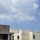 로사 | 강릉 카페 테라로사 본점 내돈내산 솔직 후기