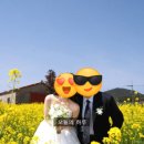 네차맞나 | 3월 제주스냅 러바웃 촬영 후기 시안부터 소품까지 100프로 활용 꿀팁(시안공유)