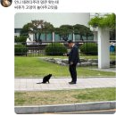 녹이 슬어 무너져가는 나라도 괜찮으면 같은 밤을 걸어가자