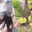 중산어린이집 이미지