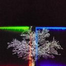 불사조 제5관 이미지