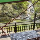 포시즌밸리계곡애견펜션 이미지