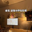송도 금빛사주&amp;타로 자미두술+점성술 상담 받고 인생 통찰 얻은 후기