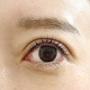 신비 뷰티샵 | 경기 광주 태전동 1인샵에서 받은 프라이빗하고 꼼꼼한 시술 [신비로운 속눈썹펌 후기]