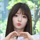 나인키스