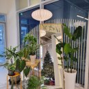 상록수패션 이미지