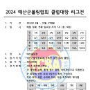 2024 예산군볼링협회 클럽대항 리그전 요강 이미지