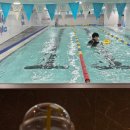 문정어린이공원 | 송파 문정 어린이 수영장 수영 강습 로렌키즈아쿠아센터