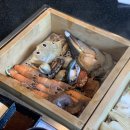 길세이로무시 이미지