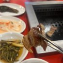 홍지 이미지