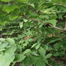 정금농장 이미지