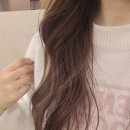 (주)탐케어코리아 | 하호니코 두피케어샴푸 | 청담동살롱제품 두피모발듀얼케어 추천