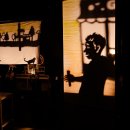 늙은 개 이미지