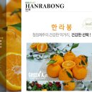 영농조합법인 그린제주 이미지