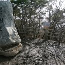 매봉산림욕장 Daum카페