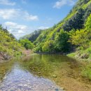 포천 자연과사람들 애견동반펜션 이미지