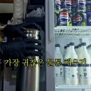 대해식당 | 식당 알바 후기 음식점 아르바이트 면접 후기와 일하는 꿀팁