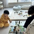 선우맞춤형산후케어 부천점 | 평택 고덕 산후도우미 선우 맞춤형 산후케어 내돈내산 후기