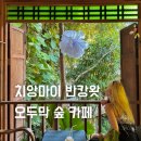숲;카페
