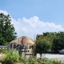 달보드레수육전문점 이미지