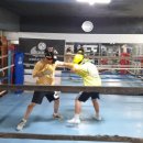 화랑복싱체육관 이미지