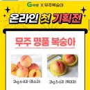 허니골드 복숭아 2kg (6-8과) 중소과 11,720원 이미지