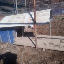 도그하우스 이미지