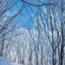 1월 23일 강원 태백산 눈산행(김잠주님작품) 이미지