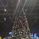 아르떼뮤지엄부산 | 아르떼뮤지엄 부산 관람후기 아이와 함께 가볼만한 곳