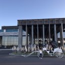 제주 살레 이미지