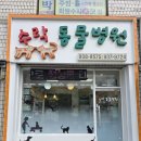 수락동물병원 | 노원구 수락산역 동물병원 강아지병원 추천해요