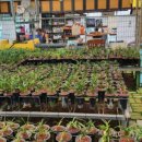 최상식농장 이미지