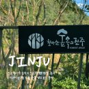 편백로-1 | 진주 월아산 숲속의 진주 산책로 완전 후기 | 2025년 11월 가을 끝물 힐링 코스 추천 (주차/소요시간...