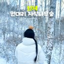 인제03-3 | 국내 겨울 여행지 인제 원대리 자작나무숲 시간 및 겨울 꿀팁