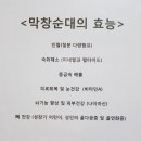 담양순대