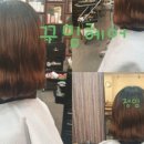 피데스헤어