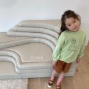 퍼피플랜 이미지