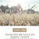 위키백과를 통해 알아보는 산타크로스의 진실은? [하나님의 교회] 이미지