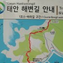구례포해수욕장(먼동) | 2.태안 해변길1코스(신두리 해수욕장끝 모재- 숲속 해변길-능파사-먼동해수욕장-해녀마을-구례포-학암포)