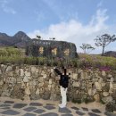 경상남도 산청군청 | [산청 가볼만한 곳] 산청황매산철쭉제 당일후기. 산청에서 1박해. 산청군청 소규모 관광객 여행...