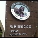 마팽태권도 이미지