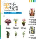 꽃파는사람들 이미지