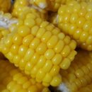 이가농장 이미지